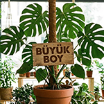 Büyük Boy