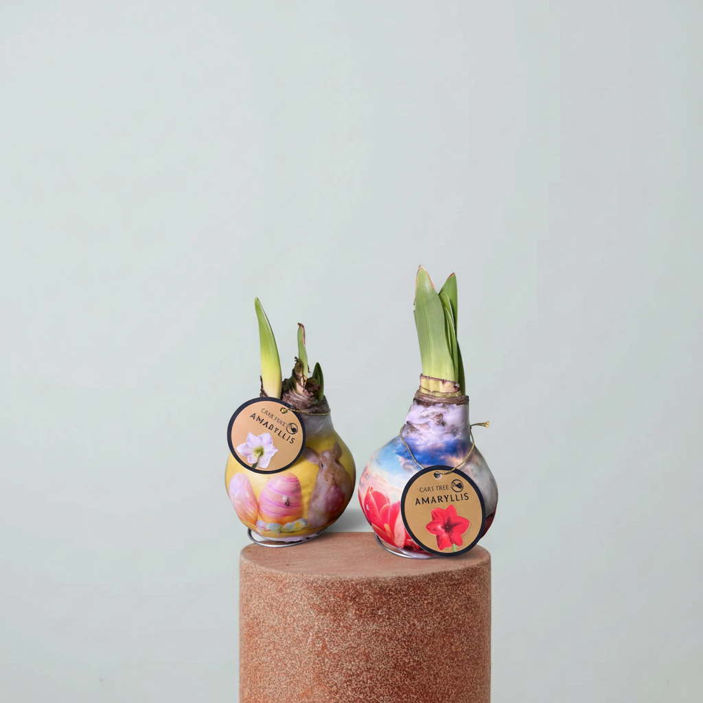 Amaryllis Mum Kaplama Tasarım Dekoratif Çiçek Sulama Gerektirmeyen Koleksiyonluk Bitki